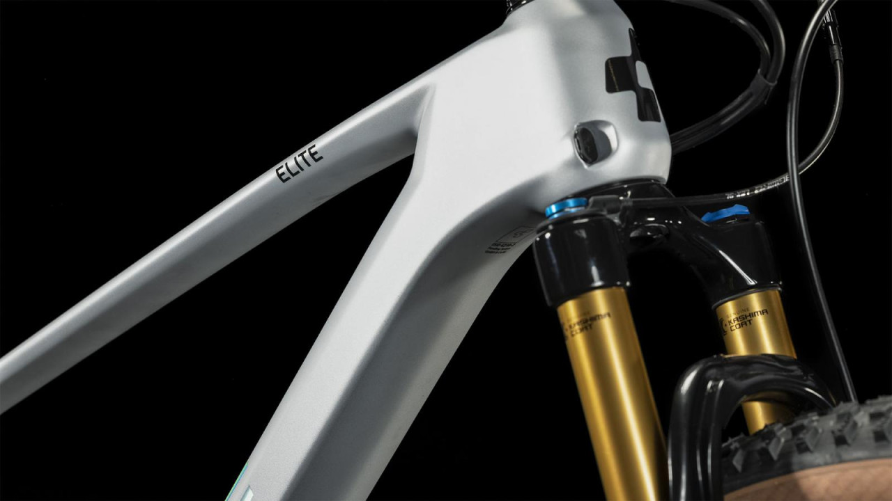Cube Elite C:62 Pro silver´n´carbon 2023 617050 / 29: (20") L