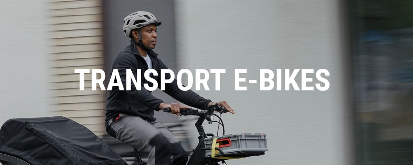 CUBE E-BIKE TRANSPORT